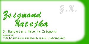 zsigmond matejka business card